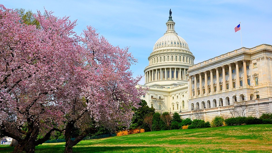Capitol Building in the spring