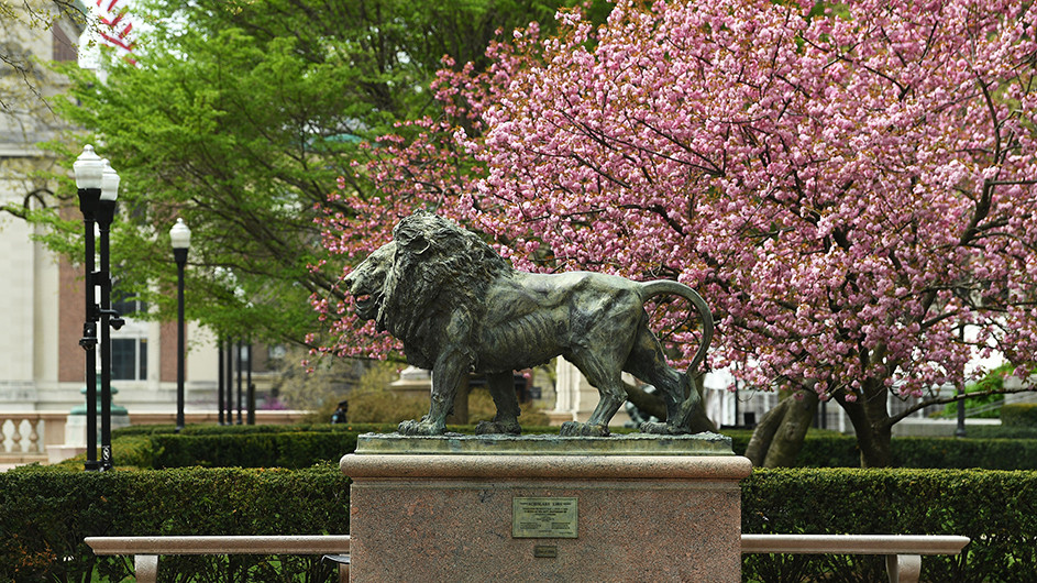 Scholars Lion with magnolias