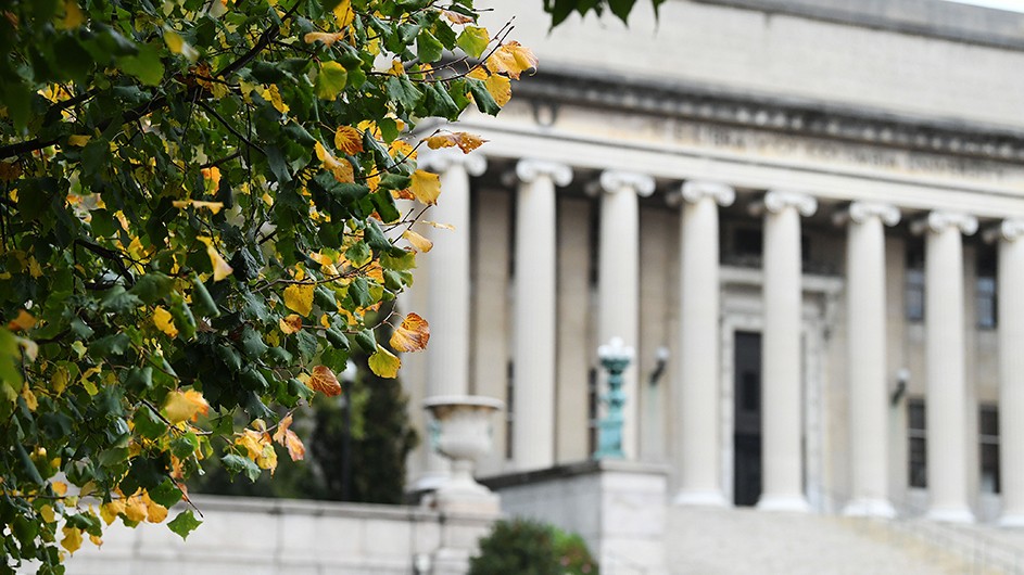 Photo of a green tree with yellowing leaves, against the backdrop of Low Library. 