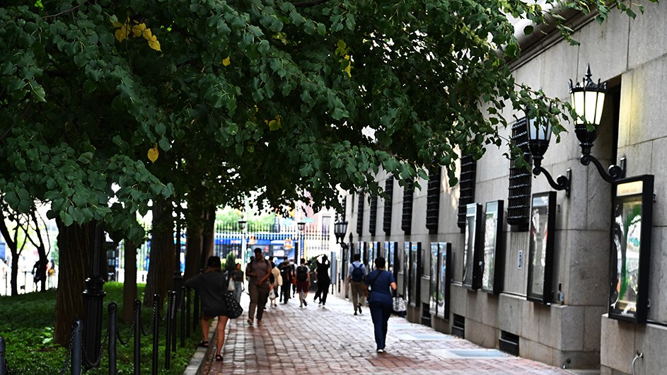 A view of Columbia's gates at 116th and broadway, surrounded by green trees. 