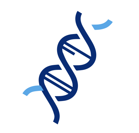 Icon of DNA strand