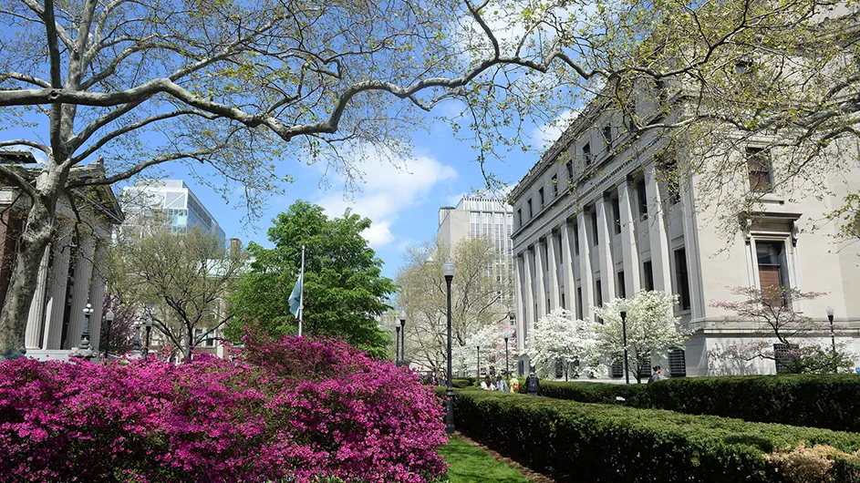 A corner of Low Library, surrounded by purple blossoms and greenery. 