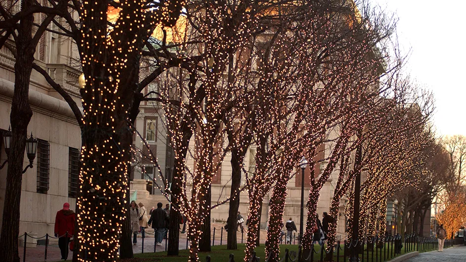 Columbia's College Walk with trees lit up for the winter.