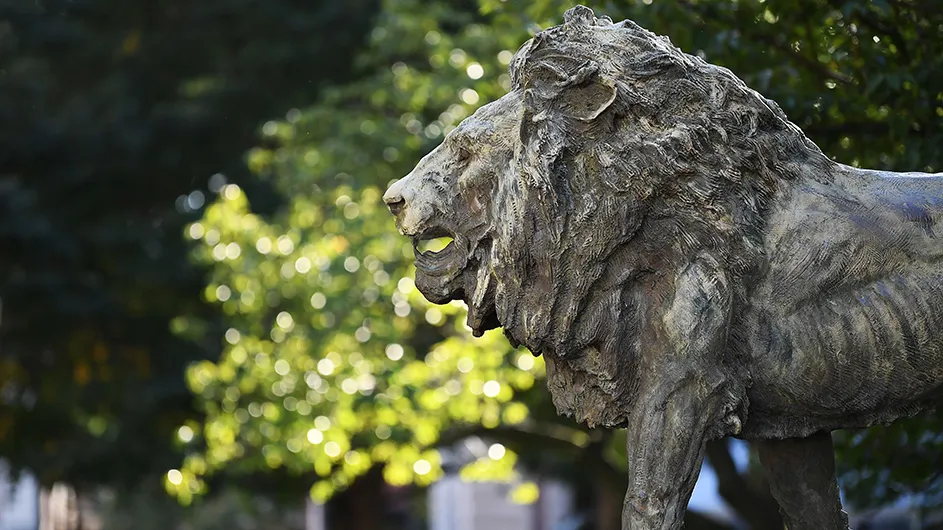 Statue of a lion. 