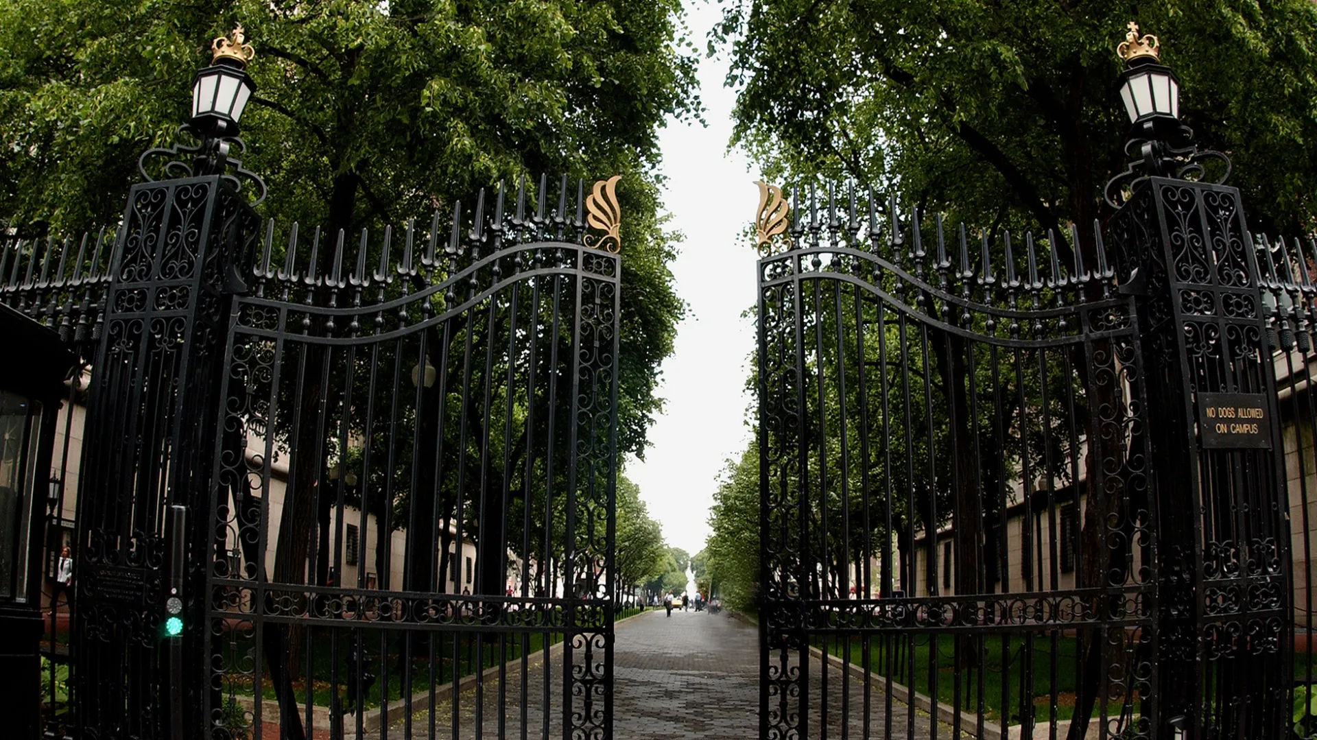 The Columbia gates at 116th street, in front of a tree-lined path.
