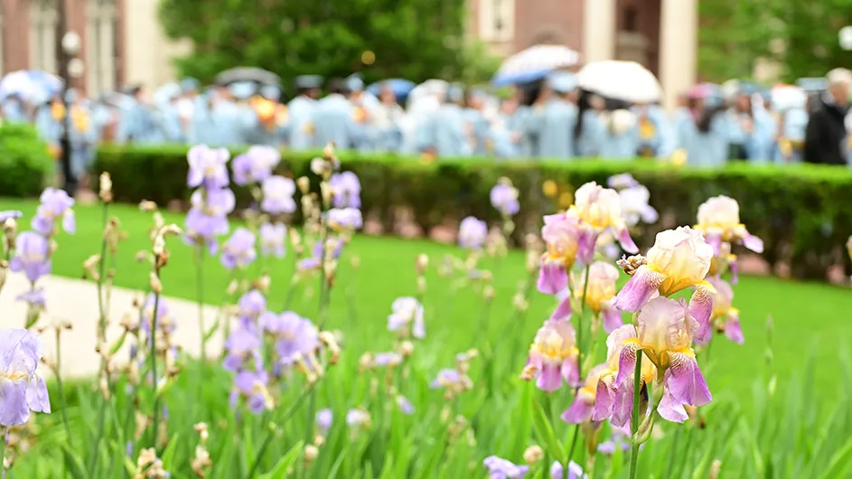 Flowers at Commencement with graduates in the background. 