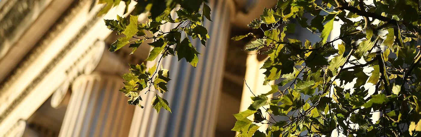Low Library greenery