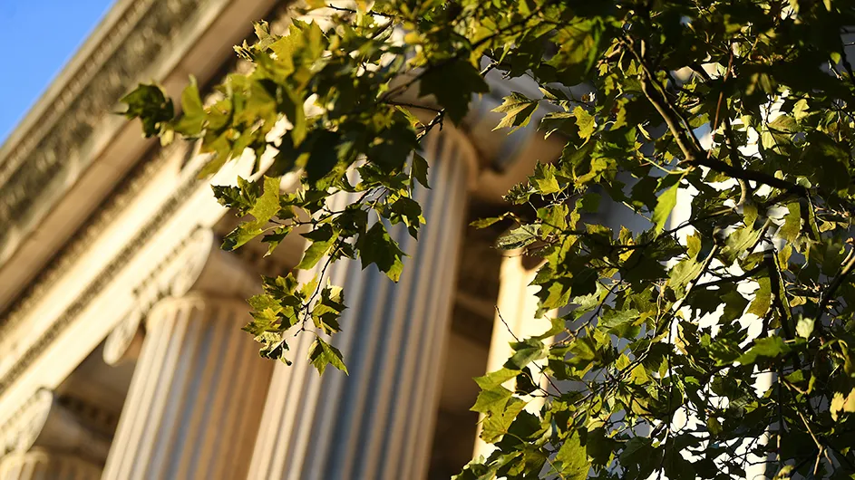 Low library with a green tree in front of it. 