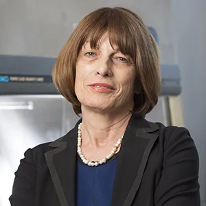 Columbia University Professor Gordana Vunjak-Novakovic